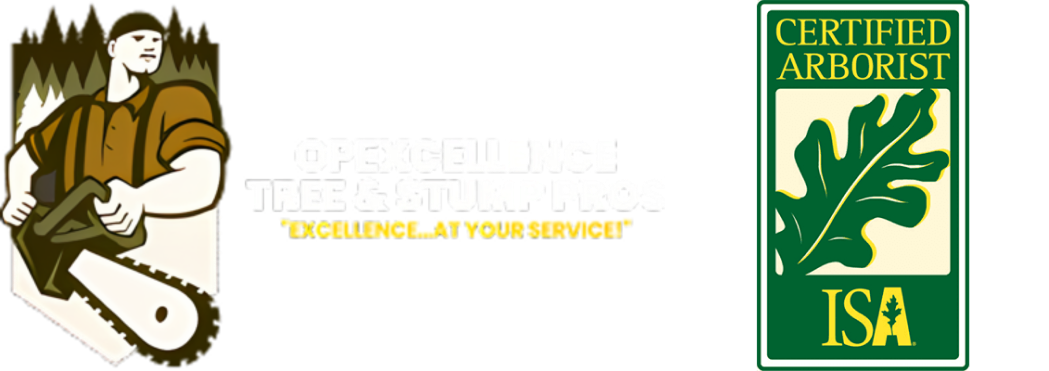 OpExcellence Facility Services, LLC Header with ISA