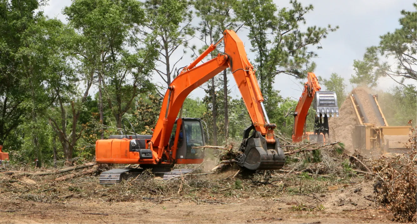 land clearing